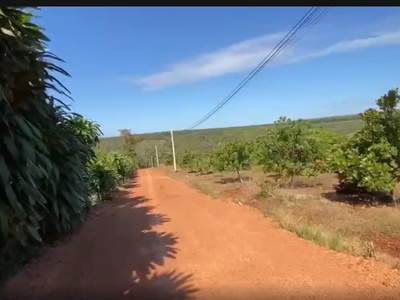 Đất mặt tiền 10.000m2 thôn tân lực, bù nho, phú riềng, bình phước, ngay kcn bù nho 3