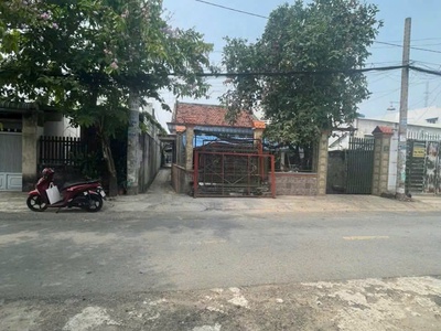  bán nhà mặt tiền tam đông 25   xã thới tam thôn   hóc môn   dt 8x23m   giá 6.5 tỷ tl 2