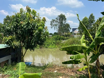 Bán 2 công tam hiệp gần mỹ tho 23x78m có nhà thổ cư view sông giá 4.2 tỷ 3