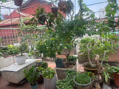 Cực sốc chính chủ cần bán nhà phố đào tấn quận ba đình 35m x 5 tầng nhỉnh 9 tỷ ô tô kd 4