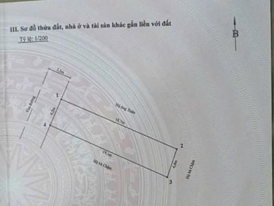 Bán đất đường nhựa 8m tuyến chợ Cát Vũ, Tràng Cát 80,5m2 giá 2.63 tỷ 3