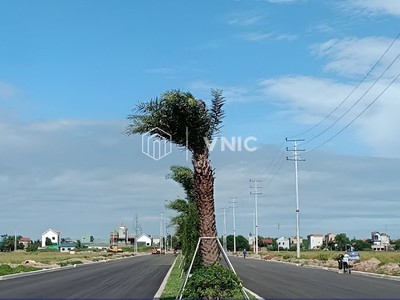 VNIC - Bán đất công nghiệp tại Hà Nam 3