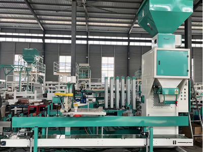 Máy đóng bao dạng hạt phễu đơn 1