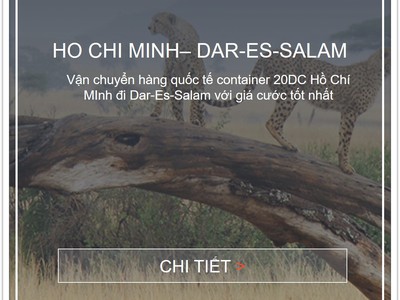 Giá cước vận tải biển từ Việt Nam đi Cảng Dar-Es-Salam, Tanzania 0