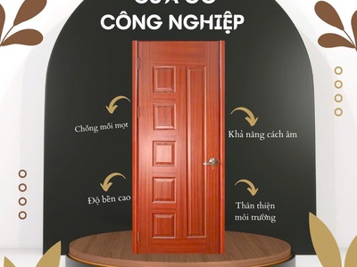 Cửa gỗ công nghiệp HDF 1