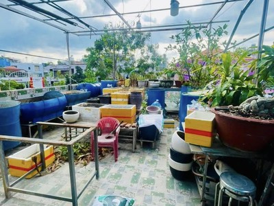 Nhà mt hiếm có khu chợ vải - ngang 5.1m - dưới giá thị trường chi 10 3