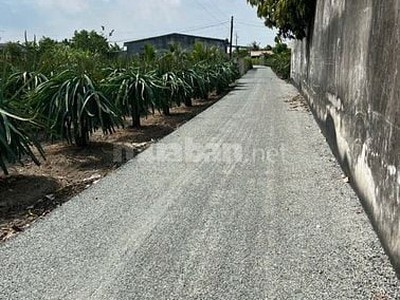 Bán 3 lô đất tái định cư đường vào khu công nghiệp phúc long, xã long hiệp, huyện bến lức, tỉnh 1