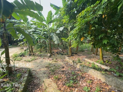 Chính chủ bán 2800m đất xã thuỷ xuân tiên - huyện chương mỹ - hà nội 1