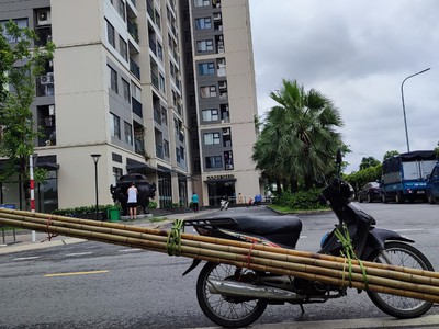 Bán sạp tre - cho thuê sạp tre 4