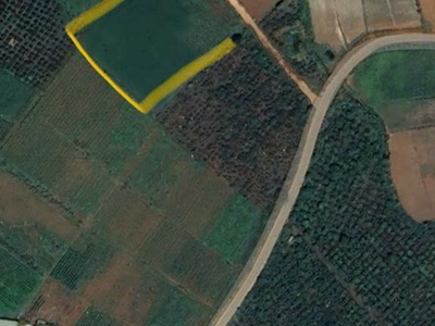 Bán 2 lô đất đẹp giá rẻ mê linh cách đà lạt 20km 4