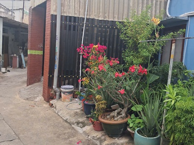 Chính chủ cần bán nhà chánh nghĩa - nhánh đường cm tháng 8- thủ dầu một 0