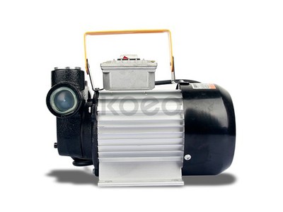 Máy bơm nhiên liệu 220V 0