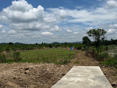 Đất đẹp - giá tốt - vị trí đắc địa tại xã tân hội, huyện đức trọng, lâm đồng 0