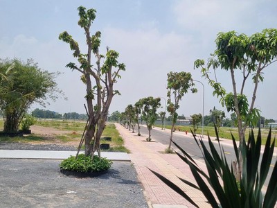 Đất nền trung tâm đức hoà   chỉ từ 50 triệu giữ chỗ   vay 0 lãi suất trong 24 tháng 2