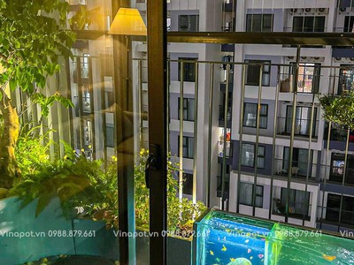 Bể Cá Composite Độc Bản Từ Vinapot   Tinh Tế Từng Đường Cong 1