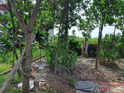 Đất thổ cư 52m ở vân canh - 30m ra đường ô tô, vuông vắn, giáp vành đai 3.5 - giá 113 tr/m 1