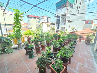 Nhà chính chủ - vị trí đẹp mặt ngõ 750 kim giang 56m2 - giá 13.7 tỷ 4