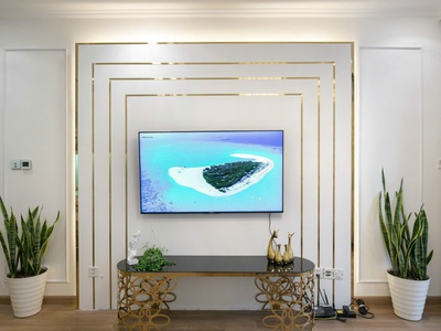 Chính chủ bán căn hộ chung cư prat 10, times city, minh khai, vĩnh tuy, hai bà trưng, hà nội. 1