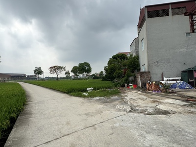 Bán lô 50m , mt5.4m-mai lâm đông anh - ngay bìa làng -view eurowindow - giá 120tr/1m2 1