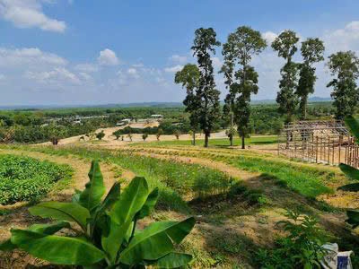 Bán 1.2ha đất vườn mít, sầu riêng tại tân phú, đồng nai, có 600m2 thổ cư 0