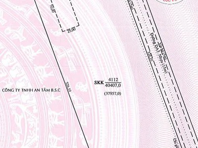 Bán đất và nhà xưởng diện tích 161.628 m2 KCN Mỹ Phước, Bình Dương 1