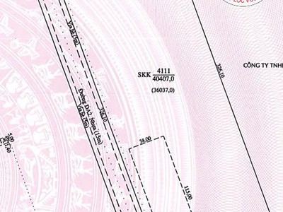 Bán đất và nhà xưởng diện tích 161.628 m2 KCN Mỹ Phước, Bình Dương 3