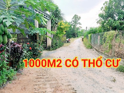 280 triệu sang tên 1000m2 có thổ cư, gần dt 818, mỗi tháng trả thêm 3 triệu 2