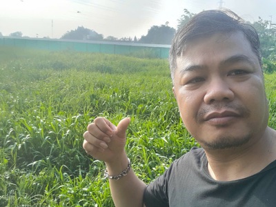 Đất 2592m2 có 26 tỷ x mặt tiền nguyễn thị điệp đông thạnh hóc môn tp. hồ chí minh. 0