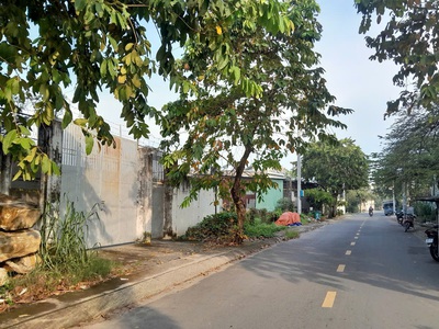 Đất 2592m2 có 26 tỷ x mặt tiền nguyễn thị điệp đông thạnh hóc môn tp. hồ chí minh. 1