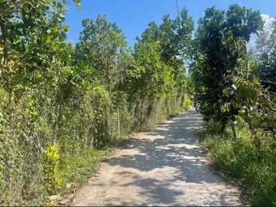 Bán lô đất đẹp ngay trung tâm xã đông hòa hiệp, cái bè, tiền giang 1