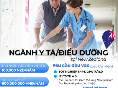 Du Học Ngành Y Tá/Điều Dưỡng Tại New Zealand   Cơ Hội Định Cư Với Học Phí Chỉ Từ 600 Triệu Vnđ/Năm 0