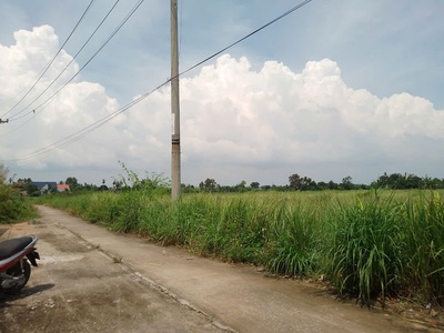 Đất 2592m2 có 26 tỷ x mặt tiền nguyễn thị điệp đông thạnh hóc môn tp. hồ chí minh. 2