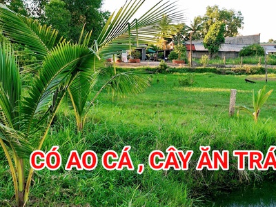 280 triệu sang tên 1000m2 có thổ cư, gần dt 818, mỗi tháng trả thêm 3 triệu 3