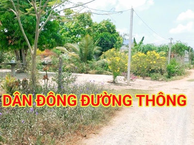 280 triệu sang tên 1000m2 có thổ cư, gần dt 818, mỗi tháng trả thêm 3 triệu 1