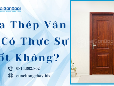 Cửa Thép Vân Gỗ Có Thực Sự Tốt Không 2