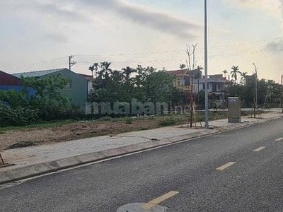 Cho thuê kho xưởng dt 1000m2 và 50m2 căn hộ nhà ở ngay cạnh kho tại thủy nguyên, hải phòng 4