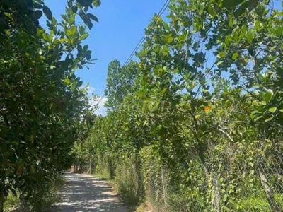 Bán lô đất đẹp ngay trung tâm xã đông hòa hiệp, cái bè, tiền giang 0