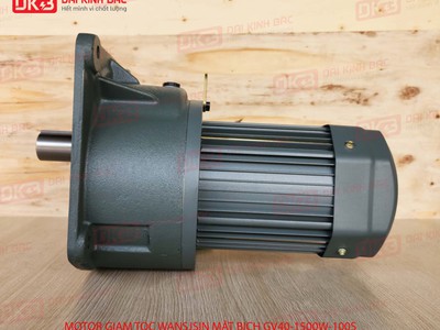 Động Cơ Giảm Tốc Mặt Bích Wanshsin GV32-1500W-10S 0