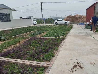 Cần bán lô đất tại quế sơn - tân ước - thanh oai 1