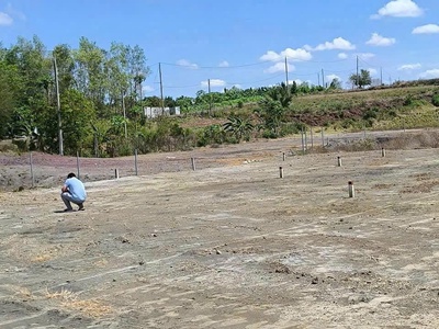  đất đẹp long tân   sổ hồng riêng   195.6m    chỉ hơn 1 tỷ 1