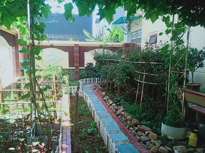 Chuyển nhượng biệt thự đẳng cấp tại đằng hải   quận hải an, hải phòng   diện tích 318m    gần sân 1
