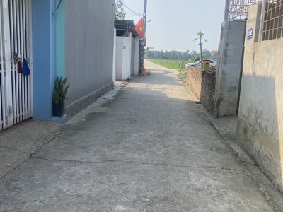 Bán đất 120m2 tại  thôn bắc thượng - quang tiến - sóc sơn 3
