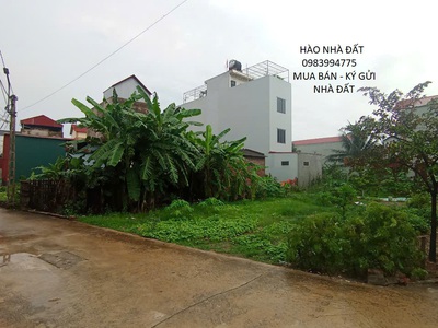 Bán đất thuận thành, bắc ninh. 50m2   mt 5,8m   1,85 tỷ. ô tô thông, gần phố 1