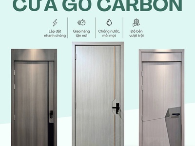 Cửa gỗ Carbon 2
