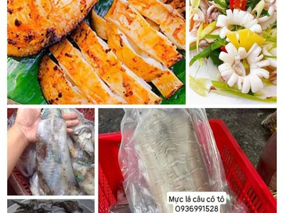 Cần bán mực lá câu vip ngon tuyển chọn 0