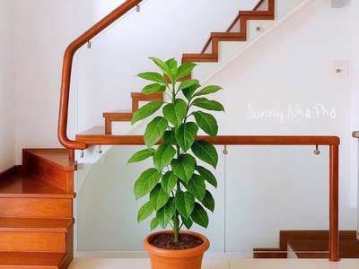 Bán nhà hẻm ô tô quận 3 - cách mạng tháng tám - 93 m2 - giá 25 tỷ 1