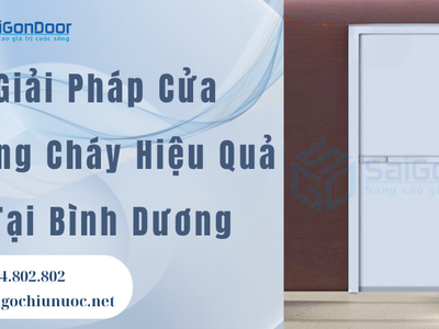 Giải Pháp Cửa Chống Cháy Hiệu Quả Tại Bình Dương 2