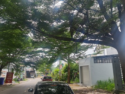 Bán đất mặt tiền đăng văn ngữ, tân an, thị xã lagi giá rẻ nhất 4