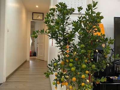 Căn hộ chung cư cao cấp residence nguyễn huy tưởng 3