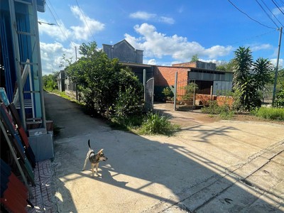Đất đẹp - đầu tư sinh lời - bán gấp đất tại huyện xuân lộc, tỉnh đồng nai  bán cả lô hoặc nửa lô 1